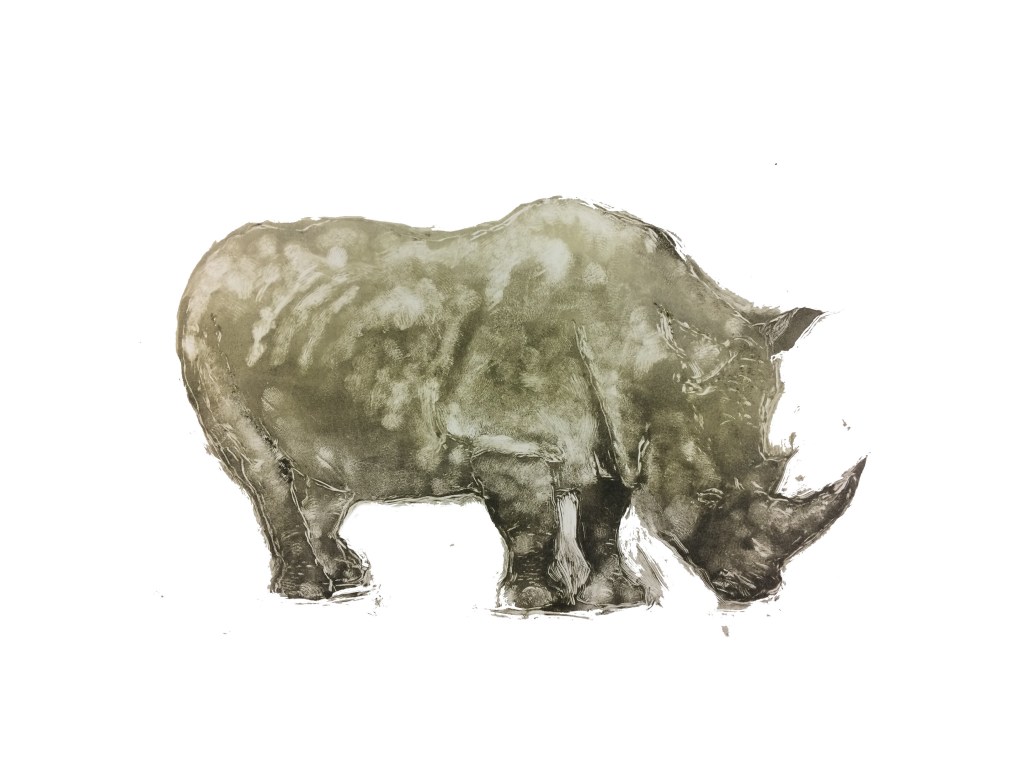 No alt text provided for this image